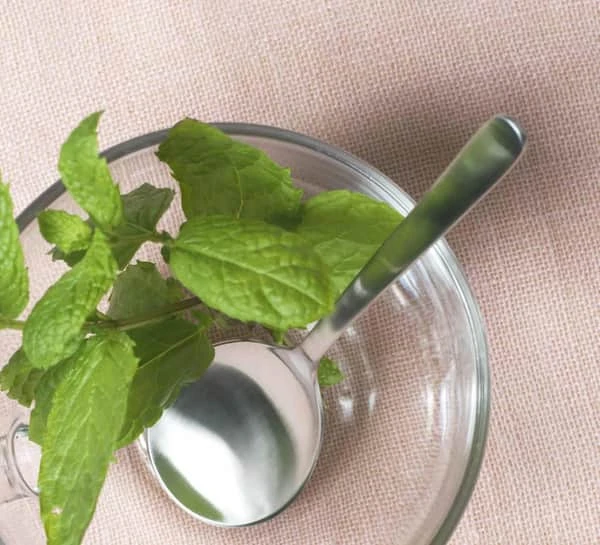 Kay Bojesen Syltetøjsske 5 Kay Bojesen Syltetøjsske - Billede 3